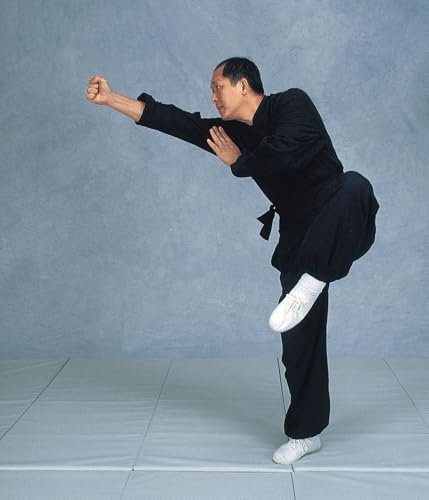 Analysis of Shaolin China