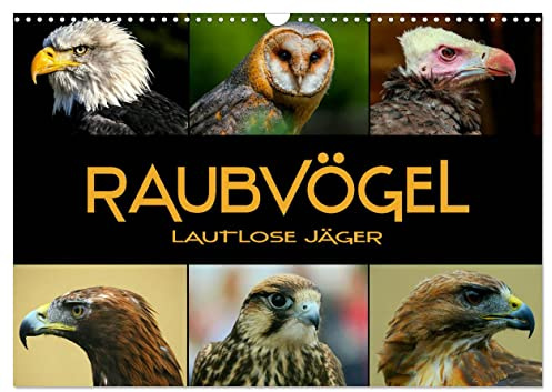 Raubvögel - lautlose Jäger (Wandkalender 2026 DIN A3 quer), CALVENDO Monatskalender: Faszinierende Portraits von Greifvögeln und Eulen (CALVENDO Tiere)