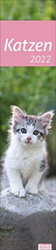 times&more Katzen long Kalender 2022