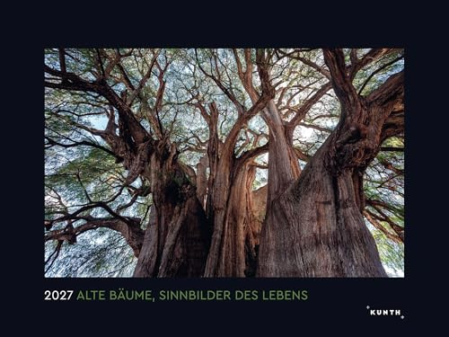 Alte Bäume, Sinnbilder des Lebens - KUNTH Wandkalender 2027: Hochwertiger, bildstarker Kalender mit Spiralbindung im Großformat (KUNTH Wandkalender Black Edition 60 x 45 cm)