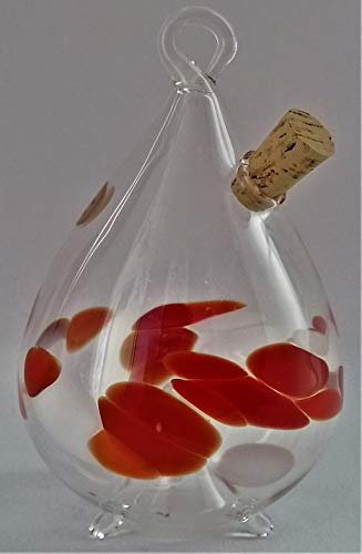 Obstfliegenfalle (transp., rot-weiß) zum Stehen und hängen