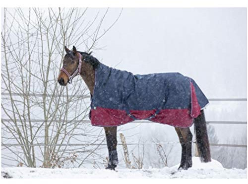 Equi-Theme Winterdecke Highneck 300g Füllung TYREX 1200D EQUITHÈME Marineblau/Bordeauxrot 125cm