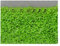 Saterkali Aquarium-Wasser-Gras-Samen, 100 Stück Aquarium-Wasser-Gras-Samen, Aquarium, hydrophile Pflanze, Landschaftsdekoration Mini-Blattsamen