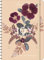 Fireweed Joy of Flowers 17-Month 2020 2021 Planner