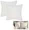 CAREDGO 2er Kissenbezüge Set Zierkissenbezüge 40cm *40cm Pillow Cover Kissenhüllen Samt Winter Pillowcase Kopfkissenbezug Weiß Plüsch Kissenhülle Dekorative Kissenbezug Cushion Cover für Sofa, Bett