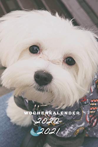 Wochenkalender 2020/2021: A5 Kalender mit Praktischer Wochenübersicht für die Organisation deiner Termine I Jahreskalender mit viel Raum für Notizen
