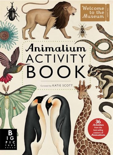 Animalium Activity Book (Welcome To The Museum): by Katie Scott