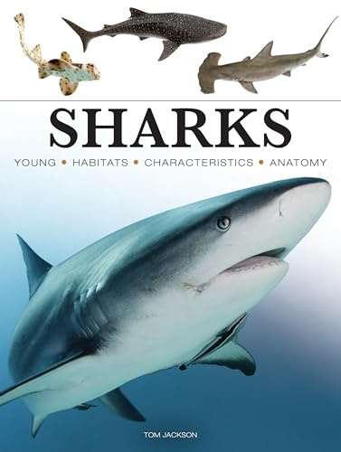 Sharks & Underwater Predators (Mini Encyclopedias)