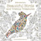 Millie Marotta's Beautiful Birds and Treetop Treasures: A colouring book adventure: 5