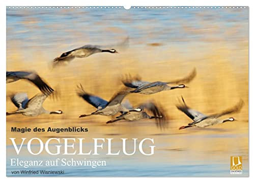 Magie des Augenblicks - Vogelflug - Eleganz auf Schwingen (Wandkalender 2025 DIN A2 quer), CALVENDO Monatskalender