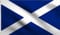 DMSE Saltire Saint Andrew's Cross Crux Decussata Schottland Flagge 100% Polyester 100 D UV beständig 2' X 3' Ft Foot 2' X 3' Ft Foot