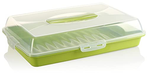 com-four® Recipiente para pasteles - Caja de transporte para pasteles y alimentos - Recipiente de almacenamiento con tapa y asa de transporte (01 piezas - diseño 2 verde)