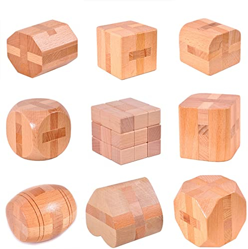 Holzsammlung 9 Pièces Casse-Tête en Bois Puzzle 3D Jeu de Logique Educatif Jeu de Patience Jigsaw Lock Cube, Intelligence Géométrie Logique Défi Jouet IQ Jeu de Réflexion pour Enfants et Adultes