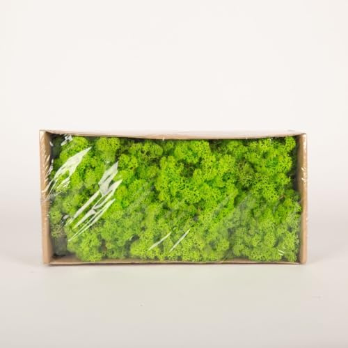 INNA-Glas Dekoratives Moos SVEINBJÖRN, apfelgrün, 500g | Echtes Isländisches Moos