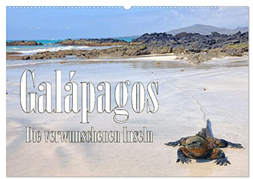 Galápagos - Die verwunschenen Inseln (Wandkalender 2026 DIN A2 quer), CALVENDO Monatskalender: FineArt-Motive von Tieren und Landschaft der Galapagos-Inseln (CALVENDO Orte)
