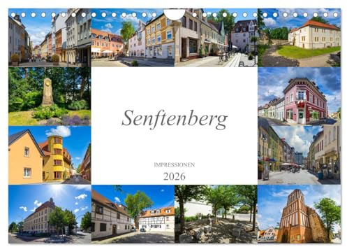 Senftenberg Impressionen (Wandkalender 2026 DIN A4 quer), CALVENDO Monatskalender: Eine Bilderreise durch die einmalig schöne Stadt Senftenberg (CALVENDO Orte)