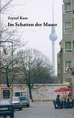 Im Schatten der Mauer: 15 Kurzgeschichten