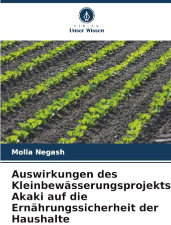 Auswirkungen des Kleinbewässerungsprojekts Akaki auf die Ernährungssicherheit der Haushalte