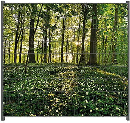 Wallario Zaun Sichtschutz Windschutz für EIN- und Doppelstabmattenzäune in der Größe Breite 2,00m x Höhe 1,80m, Motiv: Waldanemonen und Sonnenstrahlen im Wald