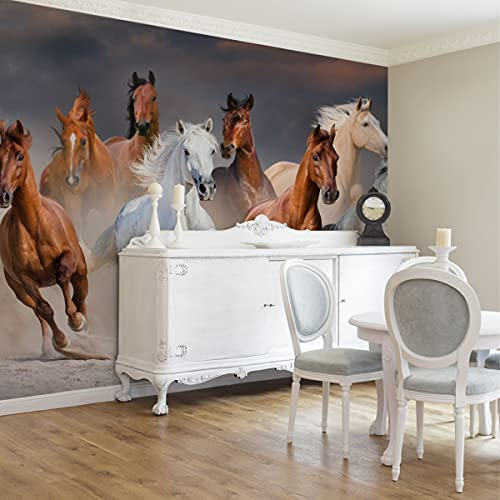 Muralo Fabelhafte Selbstklebende Fototapete 416x254 Pferde im Galopp Wüste Wolken Moderne Tapete Wohnzimmer Schlafzimmer Wandbilder Wandtapete XXL Luxus Abstrakt Br. 416 cm x Hö. 254 cm