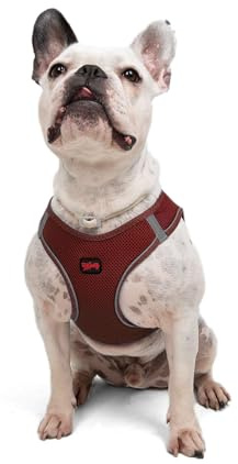 Air-Mesh Brustgeschirr für kleine und mittelgroße Katzen und Hunde – Weich, Atmungsaktiv, Strapazierfähig (Bordeaux, L (Brustumfang 59–63,5 cm))