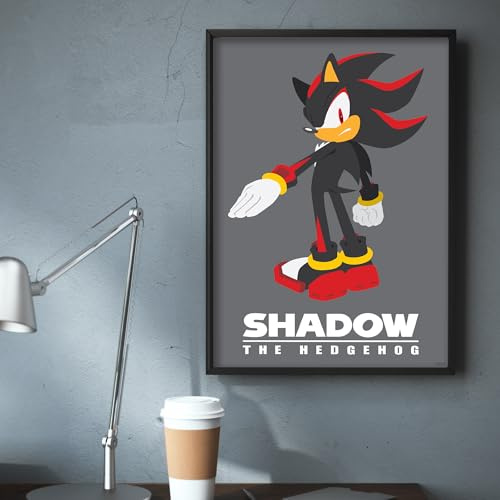 Themed Sonic The Hedgehog Print - Shadow Colour Block Poster Wall Art (29.7cm x 42cm - A3)