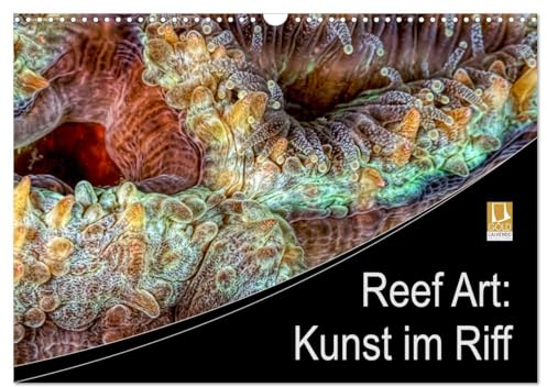 Reef Art - Kunst im Riff (Wandkalender 2025 DIN A3 quer), CALVENDO Monatskalender