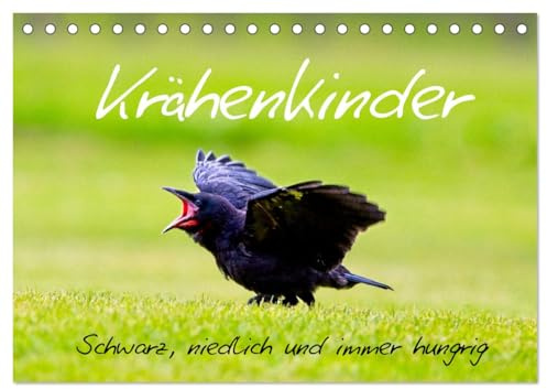 Krähenkinder - Schwarz, niedlich und immer hungrig (Tischkalender 2026 DIN A5 quer), CALVENDO Monatskalender (CALVENDO Tiere)