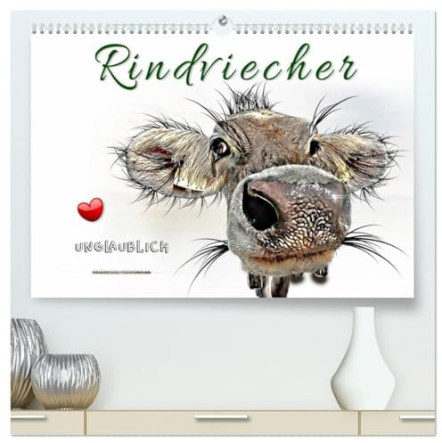 Rindviecher unglaublich (hochwertiger Premium Wandkalender 2026 DIN A2 quer), Kunstdruck in Hochglanz: Lustige Tierbilder, die Freude machen. (CALVENDO Tiere)