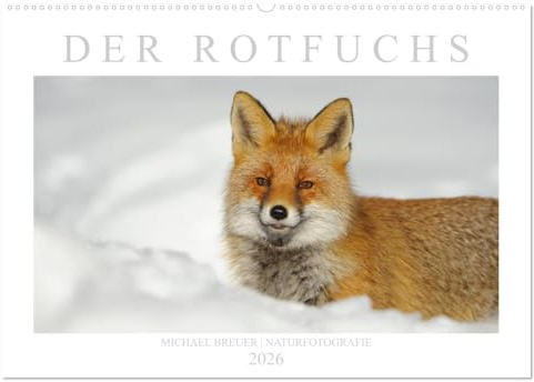 Der Rotfuchs (Wandkalender 2026 DIN A2 quer), CALVENDO Monatskalender: Einzigartige Fotos des schlauen Wildtiers (CALVENDO Tiere)