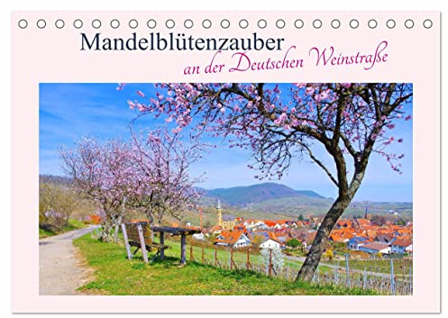 Mandelblütenzauber an der Deutschen Weinstraße (Tischkalender 2026 DIN A5 quer), CALVENDO Monatskalender: Mandelblüte in der Pfalz (CALVENDO Orte)