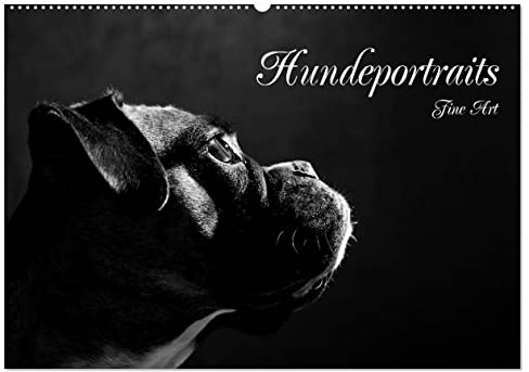 Hundeportraits Fine Art (Wandkalender 2026 DIN A2 quer), CALVENDO Monatskalender: Hundeportraits in schwarz/weiß (CALVENDO Tiere)