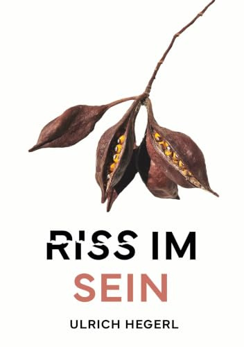 Riss im Sein: Ein aufwühlender Gesellschaftsroman über Macht, Liebe, Wissenschaft und Glauben in einer aus den Fugen geratenen Welt