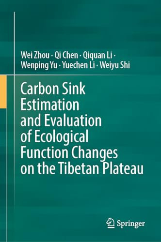 Carbon Sink Estimation and Evaluation of Ecological Function Changes on the Tibetan Plateau