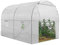 IDMarket - Invernadero de túnel de jardín, 6 m², color blanco, gama de hortalizas Roma, 2 x 3 m