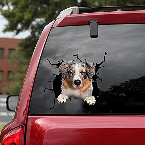 Ocean Gift Australian Shepherd Car Decals, Dog Car Stickers 2 Pack - Realistic Australian Shepherd Stickers for Car Windows, Walls Series 106 Size 20.3cm x 20.3cm