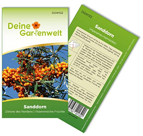 Sanddorn Samen - Hippophae rhamnoides - Sanddornsamen - Obstsamen - Saatgut für 20 Pflanzen – 5er Pack