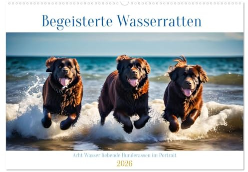 Begeisterte Wasserratten (Wandkalender 2026 DIN A2 quer), CALVENDO Monatskalender: Acht Wasser liebende Hunderassen im Portrait (CALVENDO Tiere)