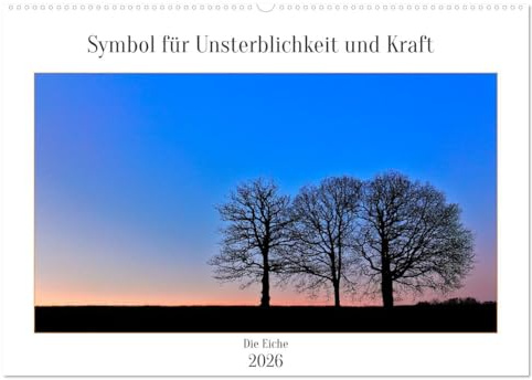 Symbol für Unsterblichkeit und Kraft (Wandkalender 2026 DIN A2 quer), CALVENDO Monatskalender: Die Eiche gilt als Lebensbaum, sie steht mit ihrem ... für das ewige Leben (CALVENDO Natur)
