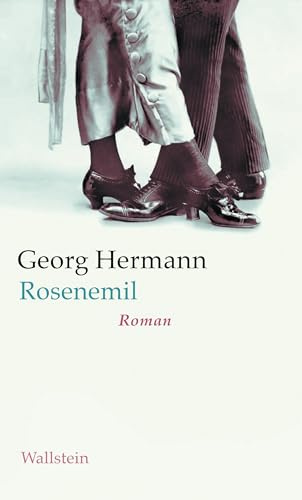 Rosenemil: Roman (Georg Hermann. Werke in Einzelbänden)