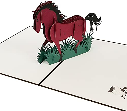 Sweetpopup® Pferd 3D Pop Up Karte | Geburtstagskarte Pferdefans Pferdeliebhaber | Glückwunschkarte Geschenkkarte Geburtstag Reiten | Klappkarte Pferd, 155