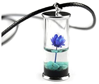 Halskette mit kleiner Glasflasche Lotus Schmuck,Geschenk für sie, getrocknete Blume Anhänger (Blau)