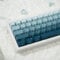 PBT Double Shot Keycap,Blue Gradient Side Printed Keycaps, Backlit Keycaps, Shine Through Keycaps, 136 Keys Cherry Profile Keycaps Set for Mechanical Keyboard 61/64/84/87/104/108 (blue)
