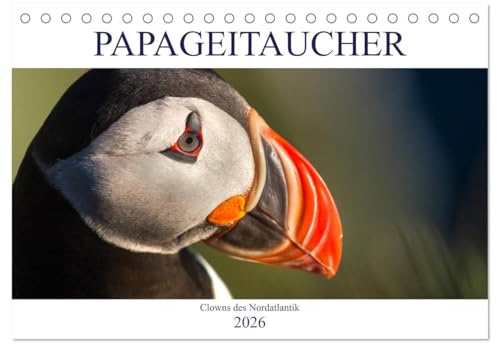 Papageitaucher: Clowns des Nordatlantik (Tischkalender 2026 DIN A5 quer), CALVENDO Monatskalender: Spektakuläre Fotos der fotogenen Papageitaucher in ihrem Lebensraum im Nordatlantik (CALVENDO Tiere)