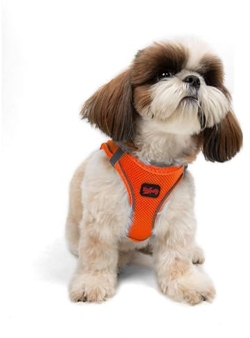 Air-Mesh Brustgeschirr für kleine und mittelgroße Katzen und Hunde – Weich, Atmungsaktiv, Strapazierfähig (Neonorange, S (Brustumfang 48–53cm))
