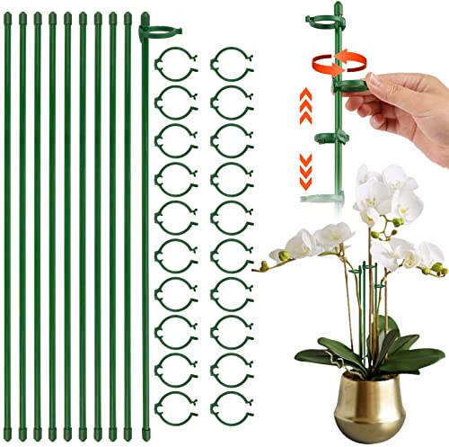 Lot de 10 piquets de support pour plantes de jardin avec clips en fibre de verre verte de 40 cm avec anneaux pour plantes d'intérieur et d'extérieur, fleurs, tomates, plantes en pot (40 cm)