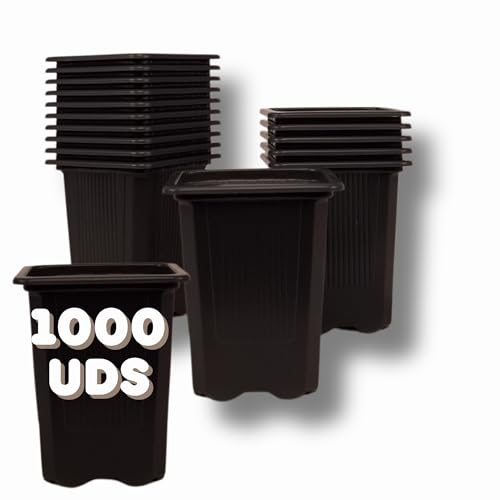GROWMANIA.ES GROWMANIA Lot de 1000 pots carrés noirs pour plantes 8 x 7 x 7 cm 1000 pots en plastique pour fleurs 8 x 7 x 7 cm Idéal pour l'extérieur et l'intérieur