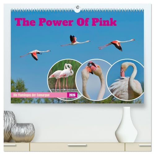 The Power Of Pink (hochwertiger Premium Wandkalender 2026 DIN A2 quer), Kunstdruck in Hochglanz: Die Flamingos der Camargue (CALVENDO Tiere)