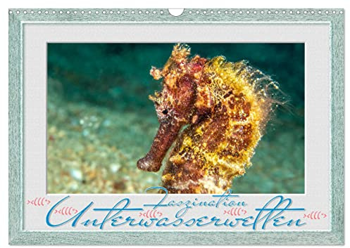 Faszination Unterwasserwelten (Wandkalender 2026 DIN A3 quer), CALVENDO Monatskalender: Beeindruckende Bilder aus der Welt der Meere in Szene gesetzt. (CALVENDO Tiere)
