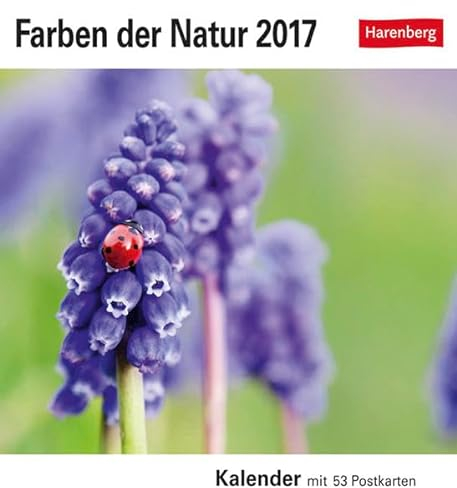 Farben der Natur Postkartenkalender 2024. Farbenprächtige Naturaufnahmen in einem Fotokalender im Postkartenformat. Tischkalender zum Aufstellen mit 53 Postkarten: Wochenkalender mit 53 Postkarten